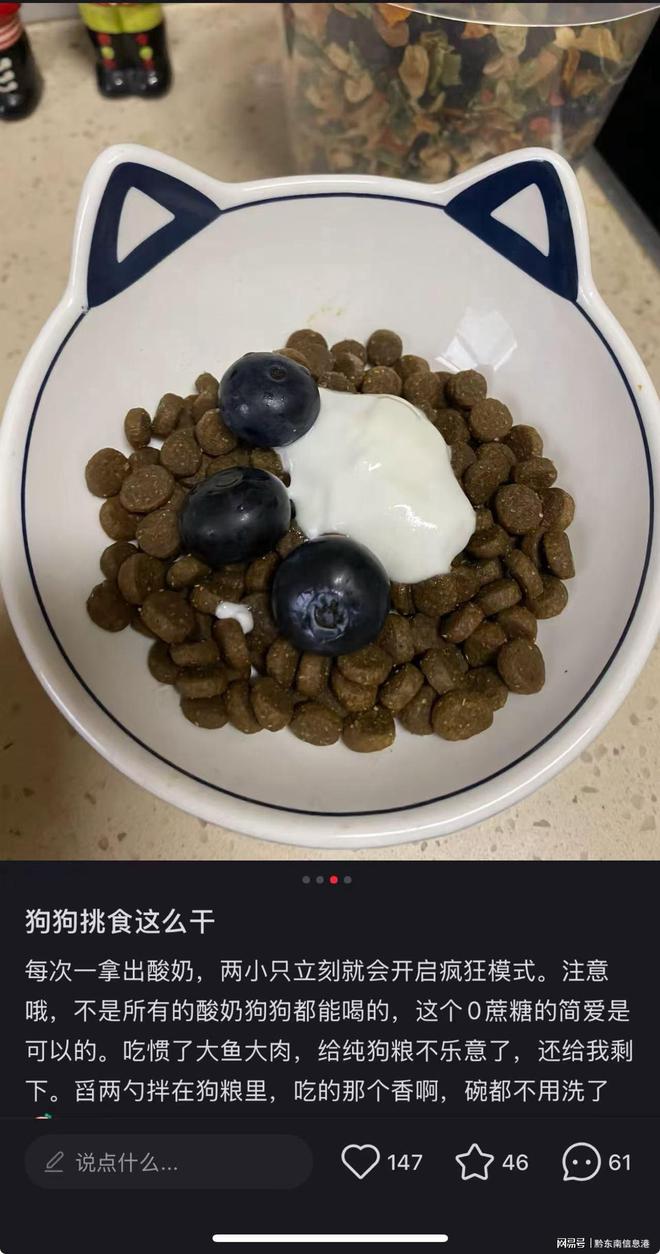 配方”撬动萌宠经济与母婴信任双赛道pg电子试玩平台简爱酸奶以“纯净(图2)