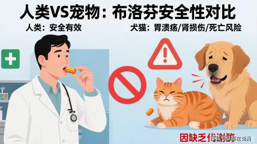 兽药是蓝海还是巨坑？pg电子首页人药进军(图8)